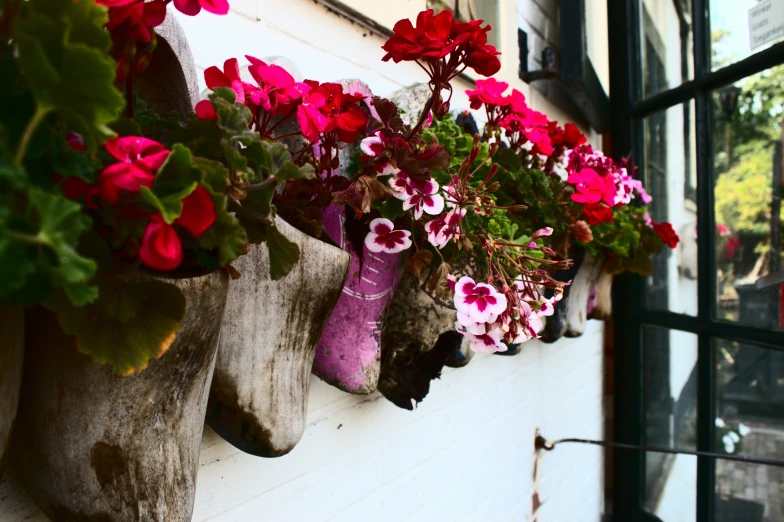 a number of pots with flowers on a wall