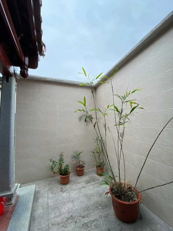 a small courtyard area with several pots filled with plants