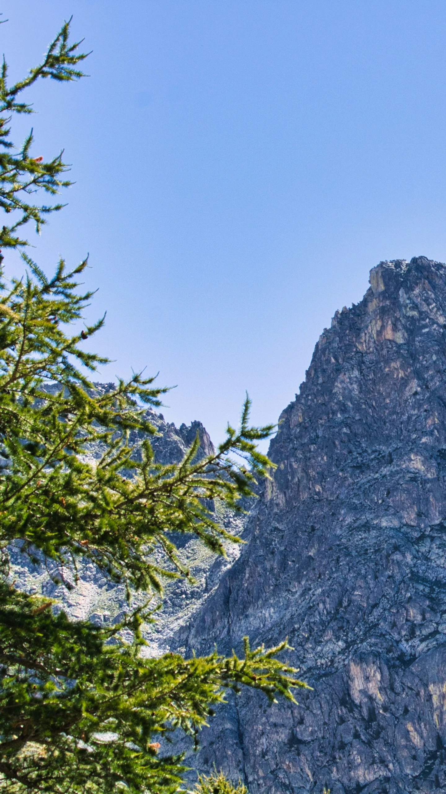 the top of a mountain with a lot of green trees around it