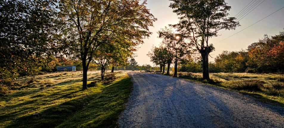 a quiet country road is between two trees