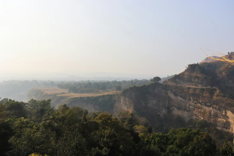 a large steep cliff in the middle of a forest