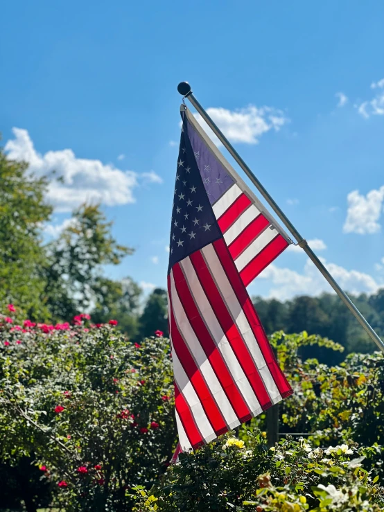 a patriotic american flag blowing in the wind