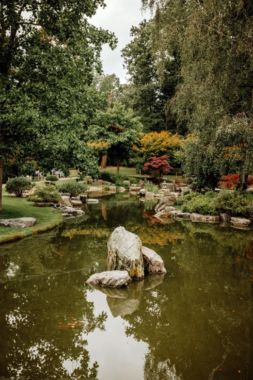 a small pond surrounded by lush green grass and trees