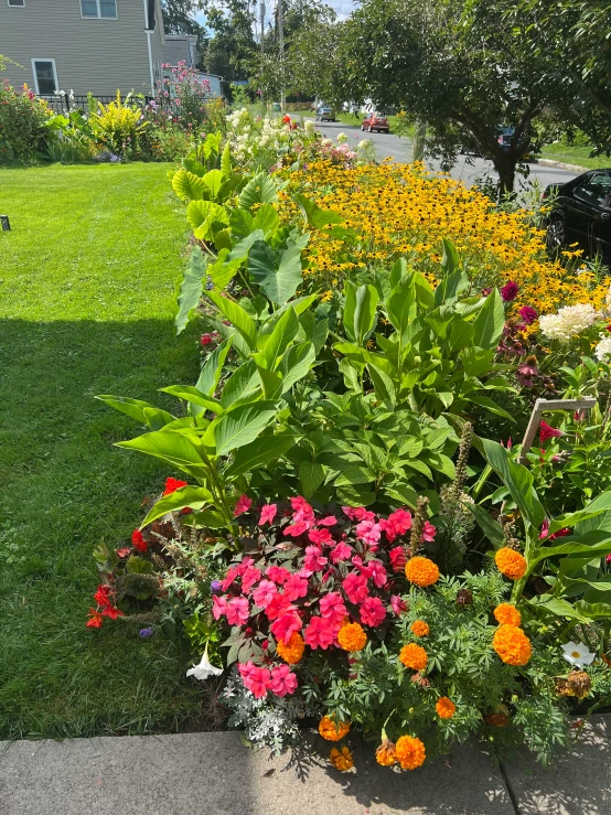 a flower garden with several different flowers in a garden