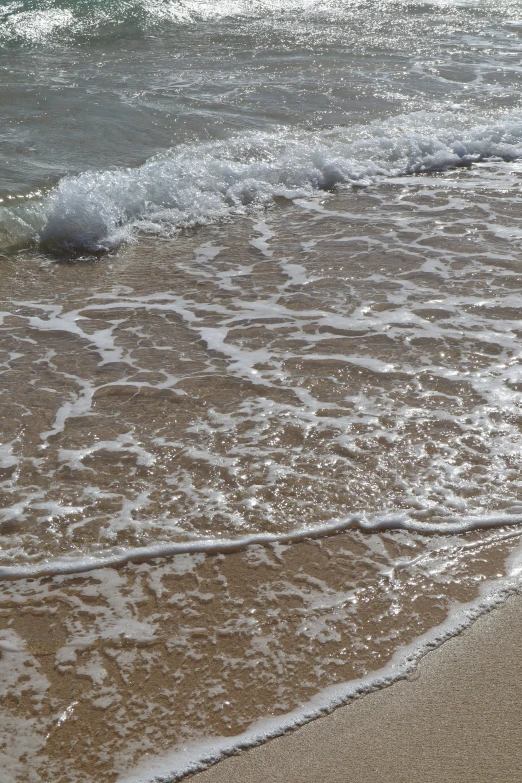 the sand and water of a beach with a bird on it