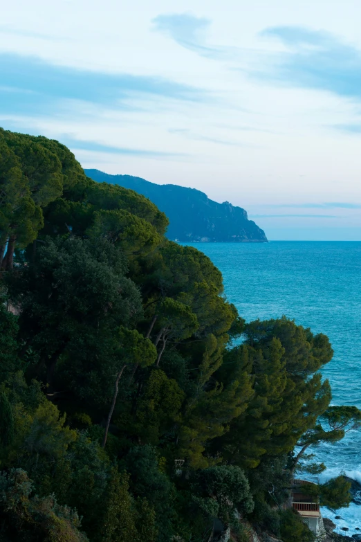 the ocean has a lighthouse in it near trees