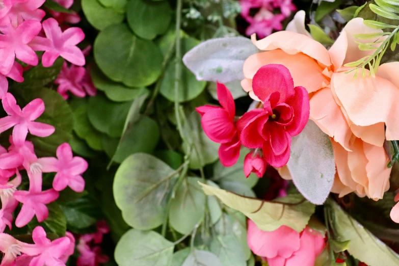 some pink and orange flowers are on a green nch