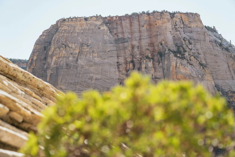 a mountain and some trees in front of it