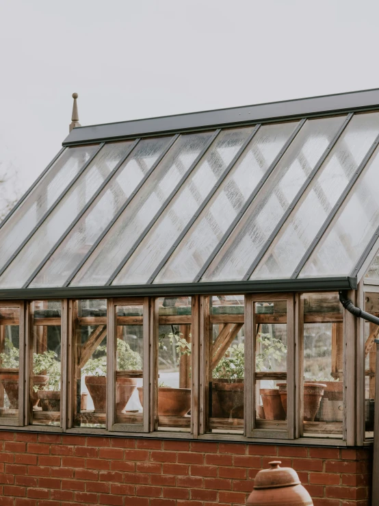 pots with plant plants are set in the window panes