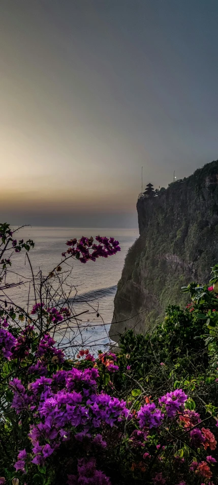 a hill on the coast with flowers growing along side it