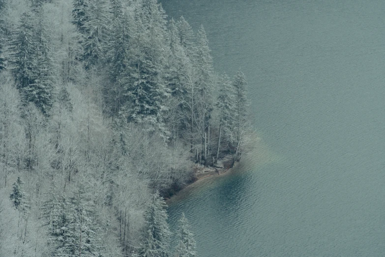 an overhead s of trees and blue water