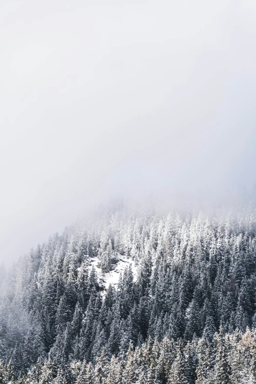 fog and a snow covered mountain covered in snow