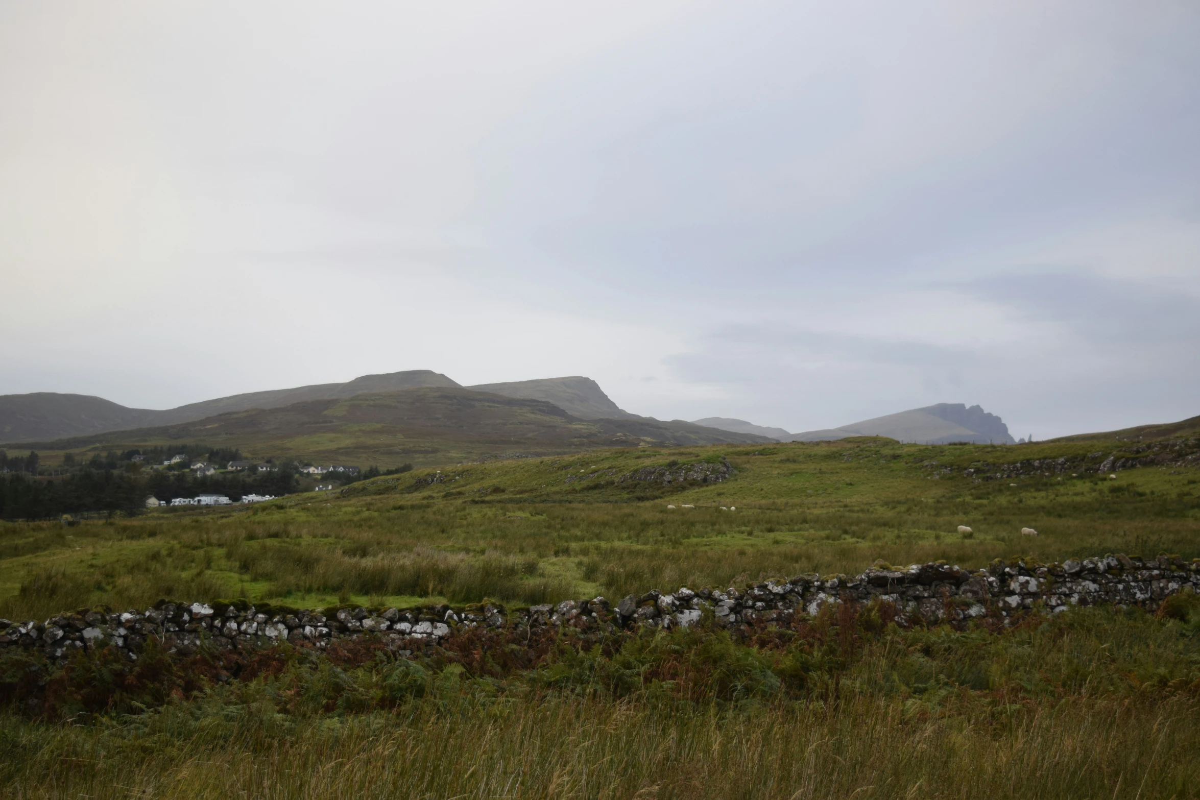 there is a small stone wall in a field