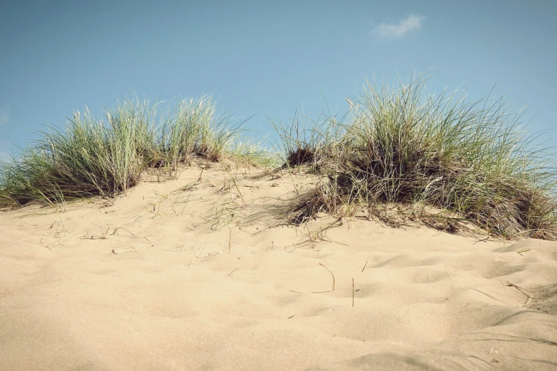 the beach is covered with sand and grass