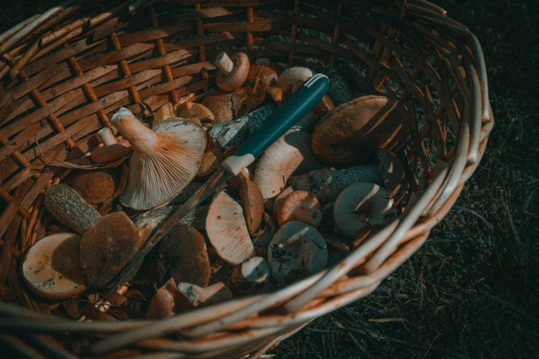 a basket filled with different types of mushrooms and mushrooms