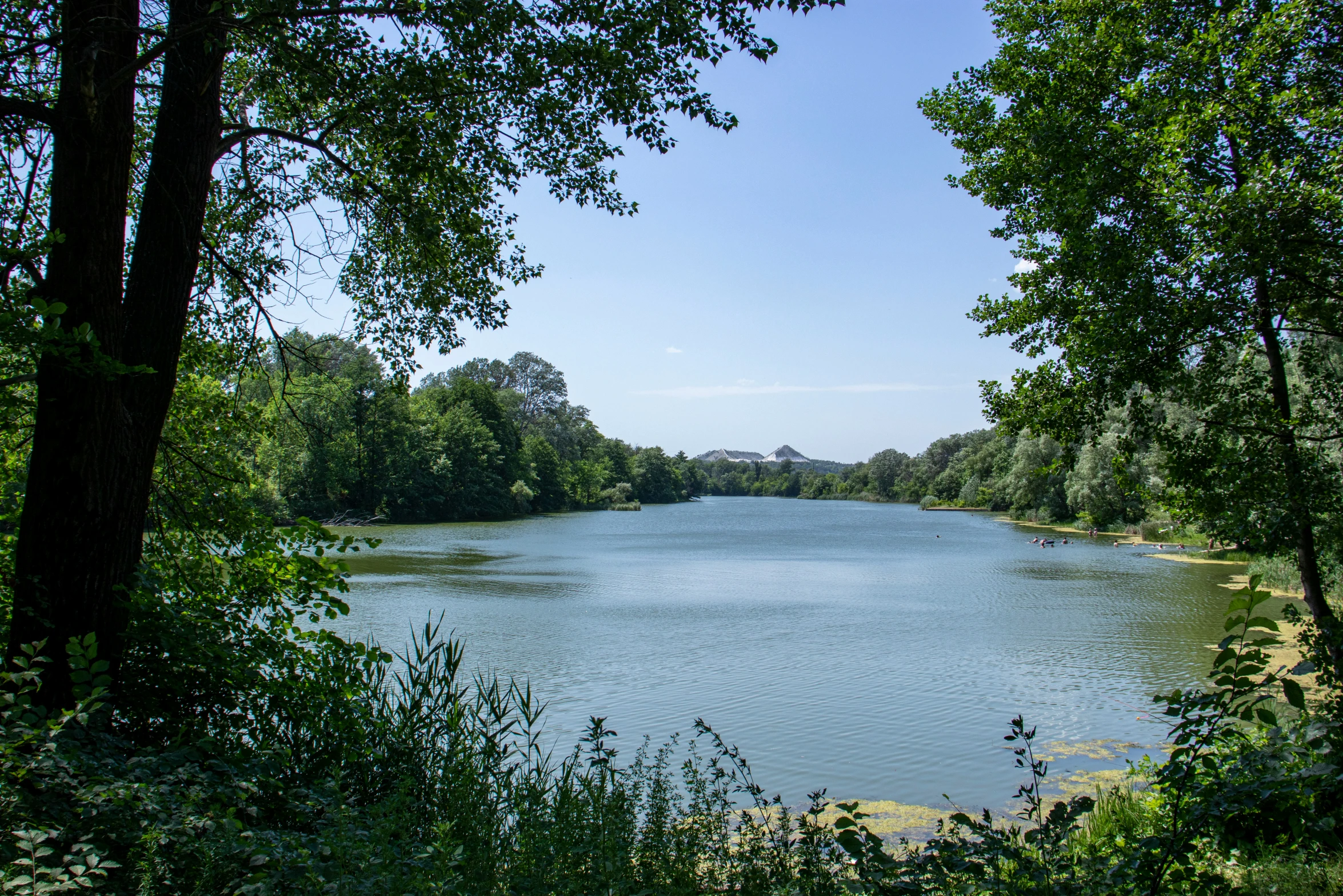 a view of a body of water from a trail