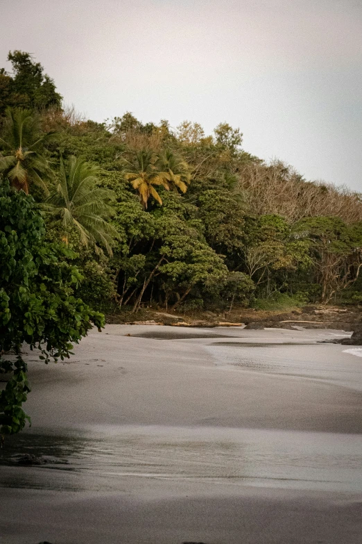 a man carrying a boat in the ocean near some trees