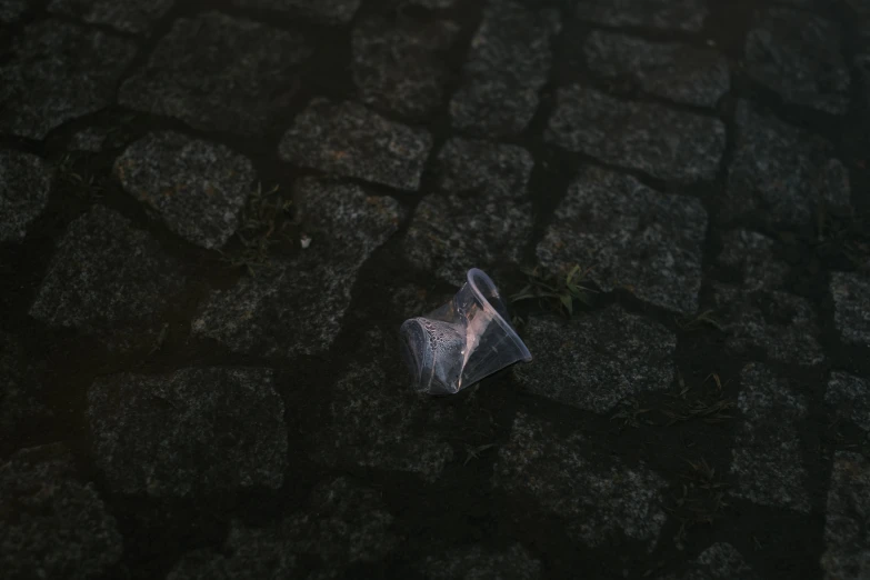 the plastic bag is laying on the street