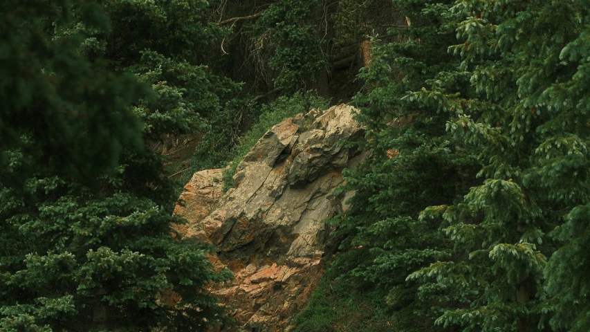 two elephants standing on top of a dirt hill