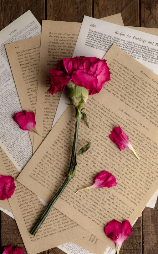 several letters and flowers are lying on a table