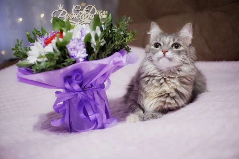 a kitten with flowers is laying next to a purple ribbon