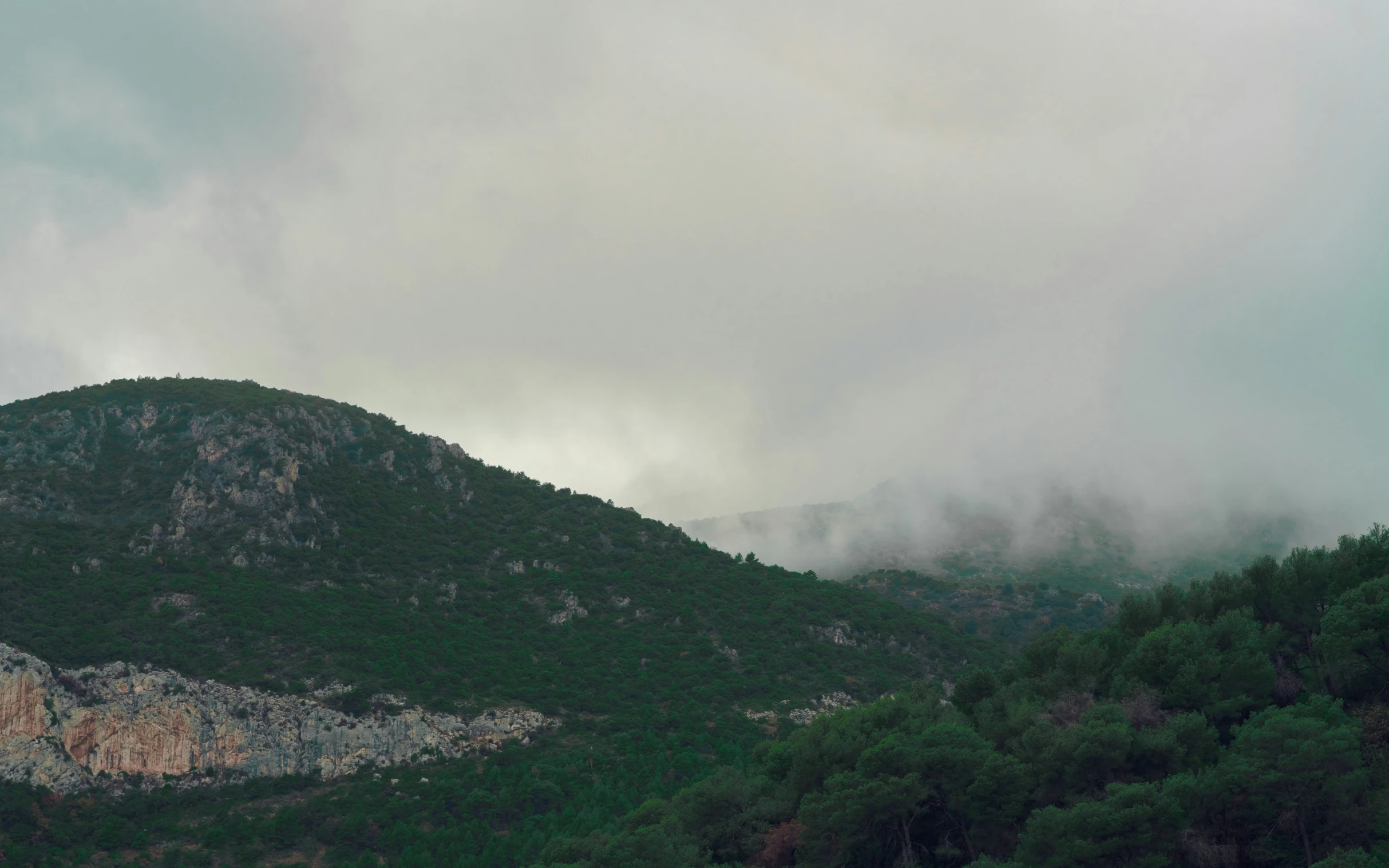 some hills and trees are shown on a cloudy day