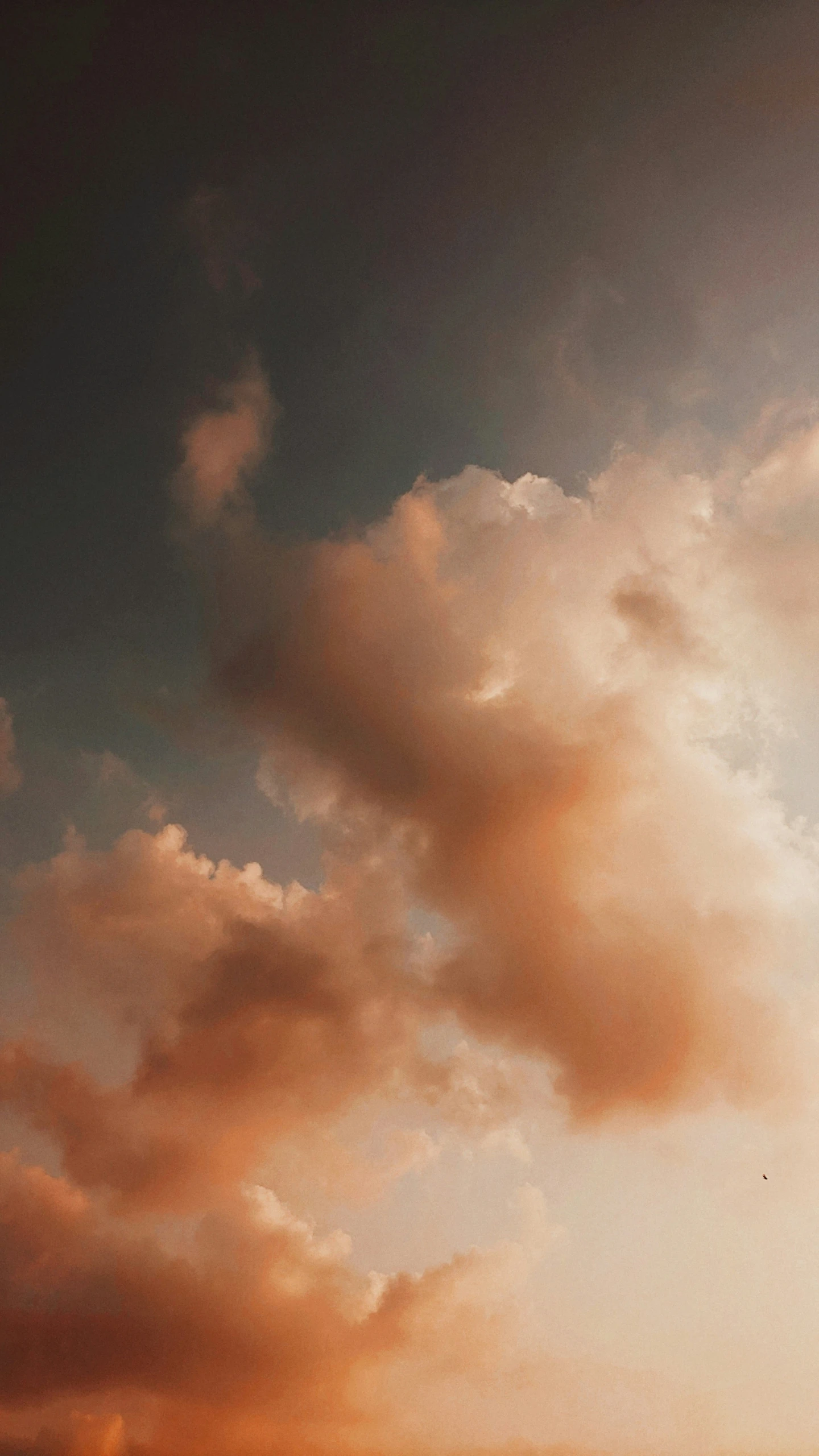 a bird is soaring in the air in front of a cloud