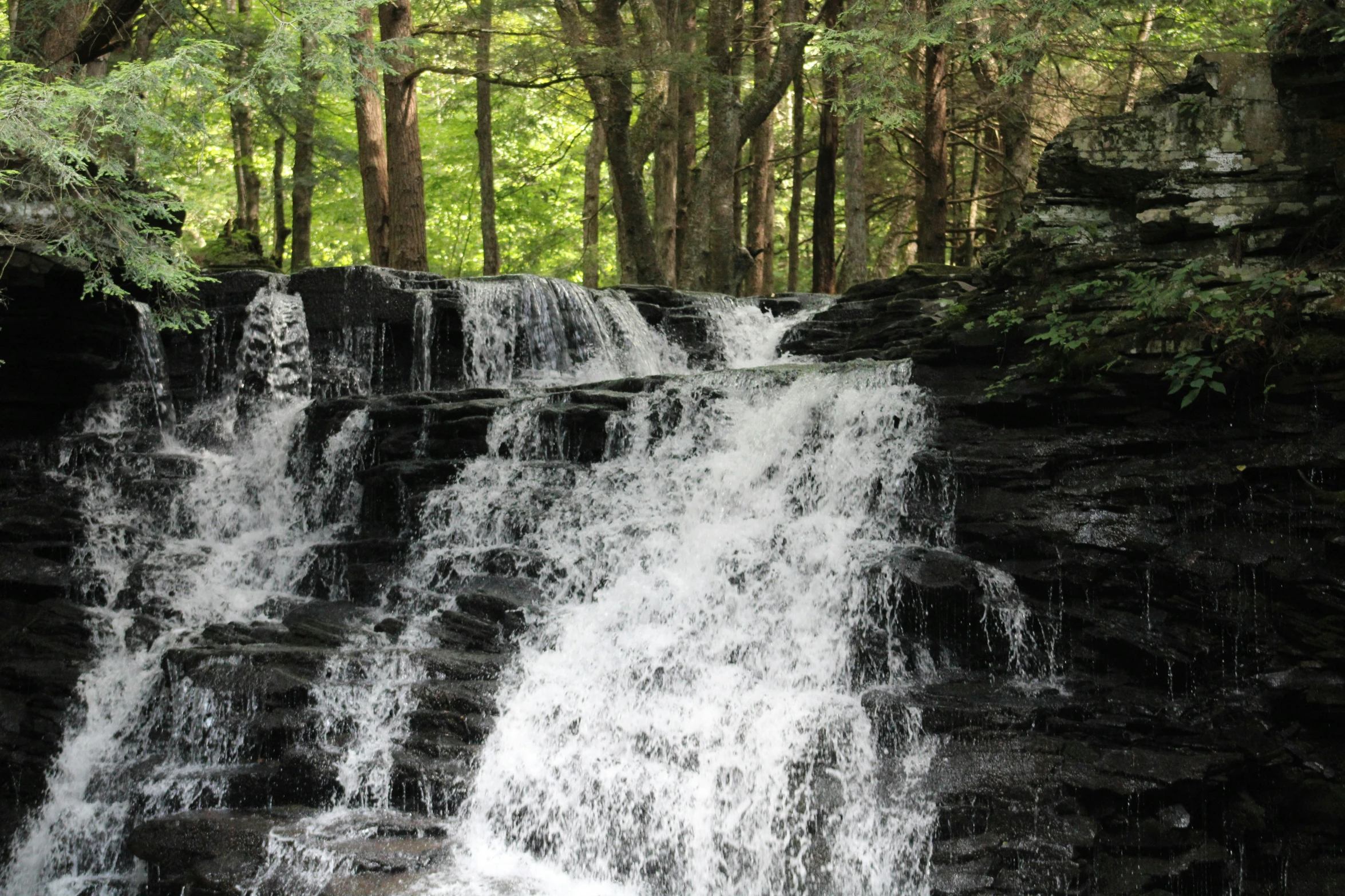 a couple walking on a waterfall side by side