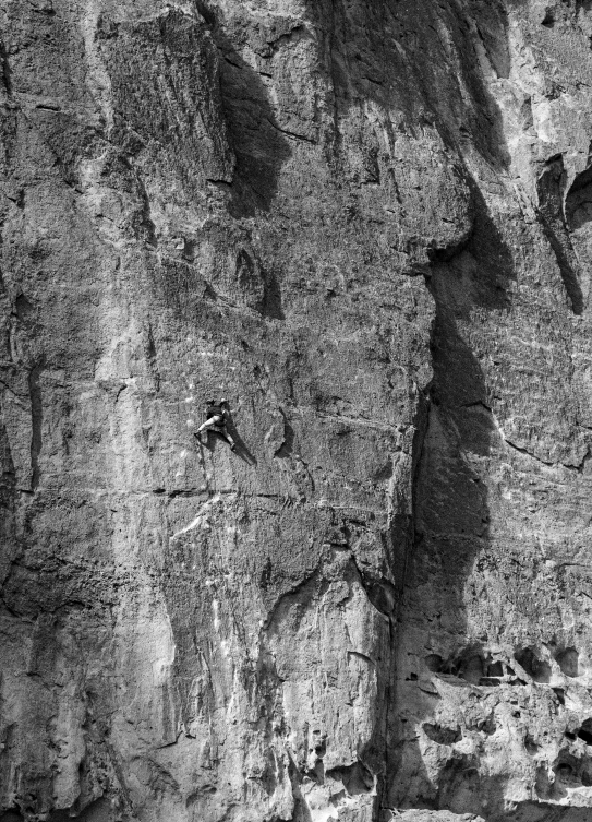 a black and white image of a rocky cliff with small white dots