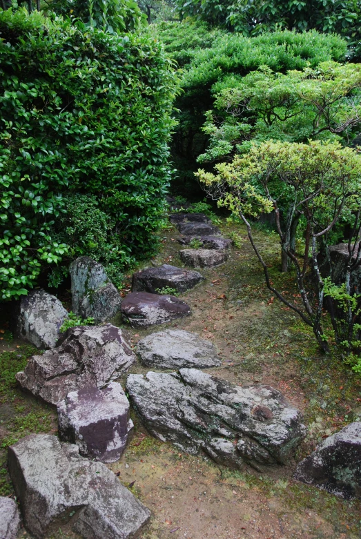 the rocks have been arranged around them and is set against a green bush