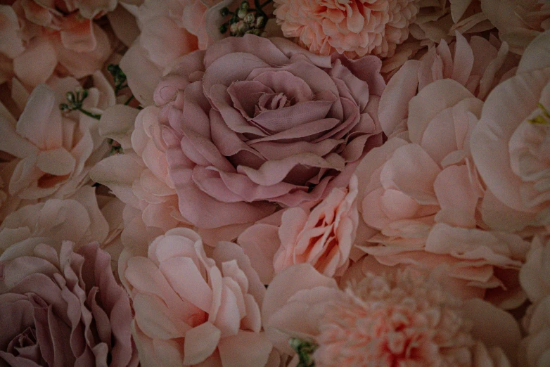 pink roses in sepia tone from an image with green leaves