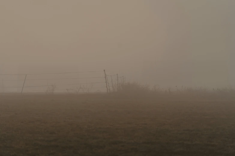 a foggy field with a cow standing on a hill