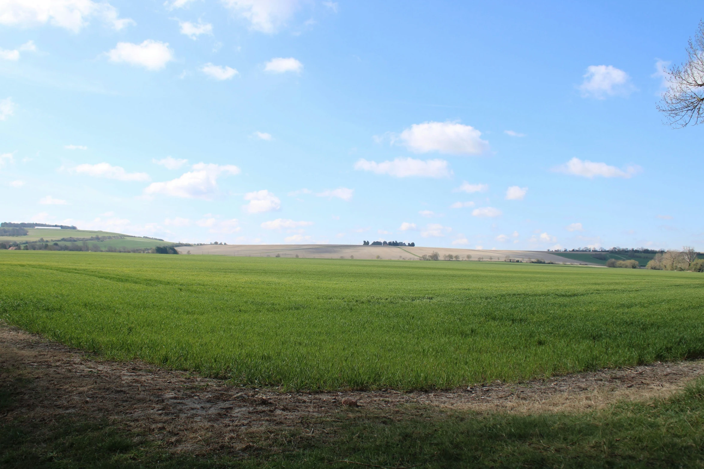 a large grassy area with small trees and hills in the background