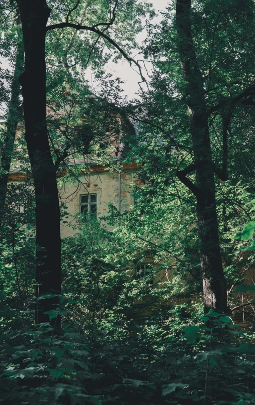 an old house is surrounded by lush green trees