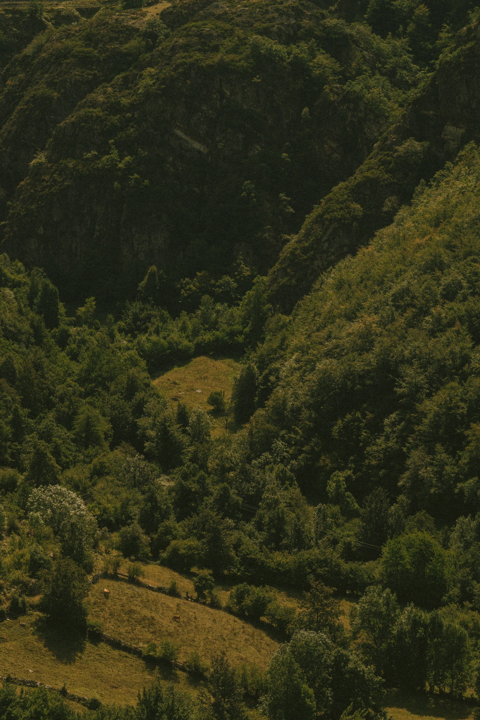 the aerial view from the top of a hill with grass and bushes