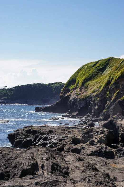 a rocky coast with a grassy hillside on one side and small trees on the other