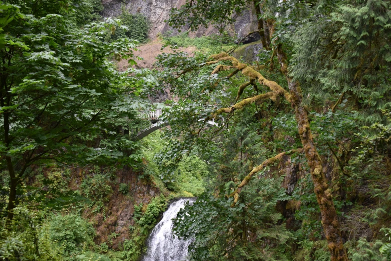 the view from the bottom of a waterfall in a jungle