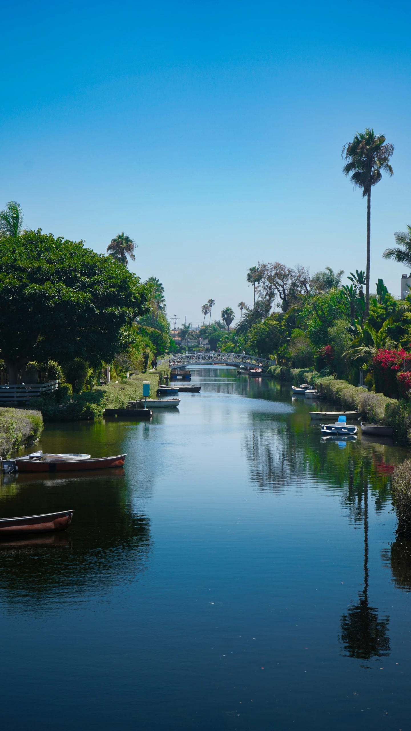 many boats are on the calm waterway with palm trees and greenery