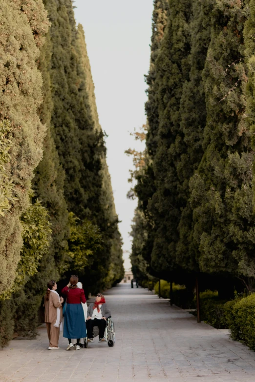 a group of people walking down a road next to tall trees