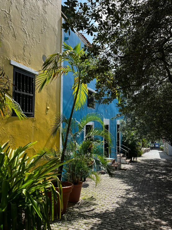 colorful buildings and plants in front of a cobblestone walkway