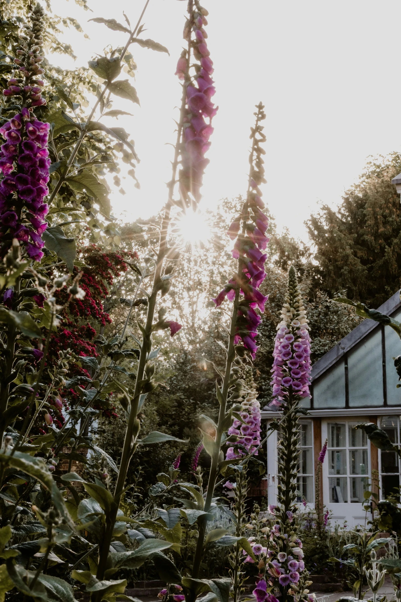 an old house surrounded by a lot of flowers