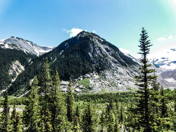 a high mountain range that's surrounded by trees