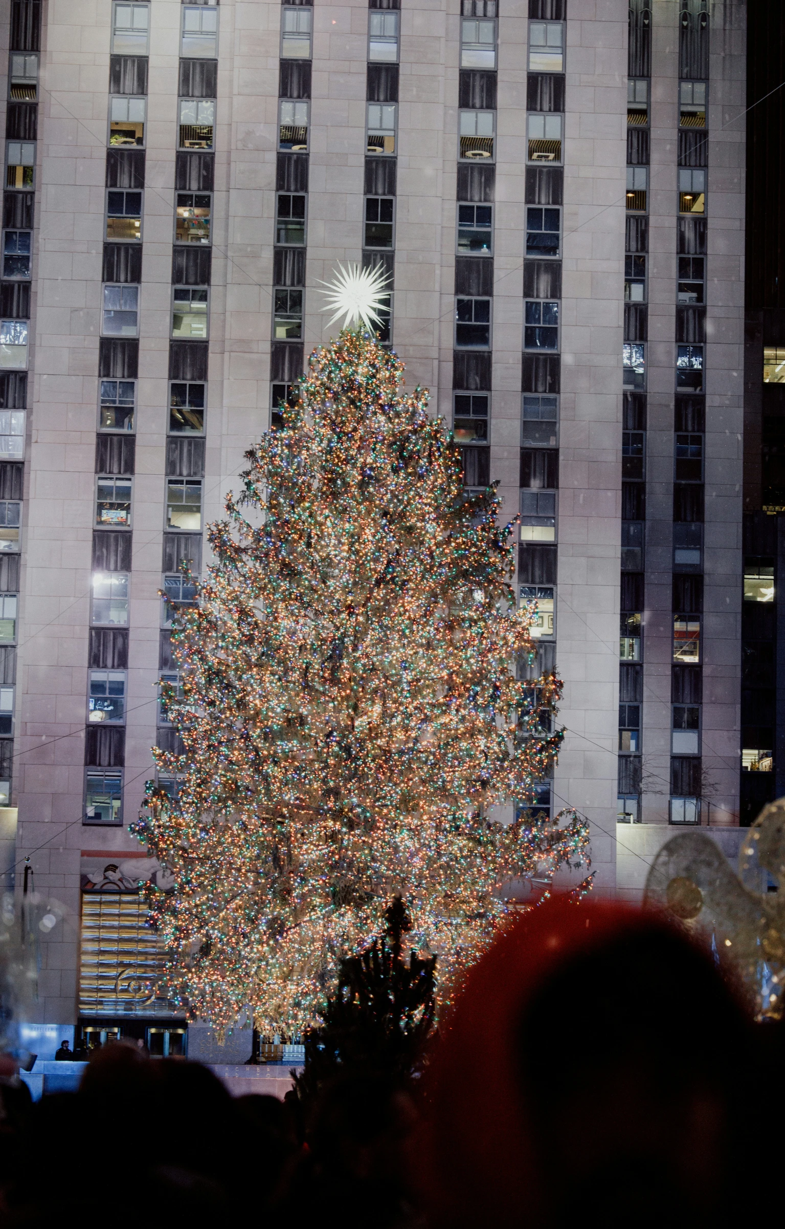 the christmas tree has been lit and there is a crowd looking