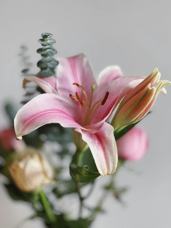 pink flowers with greens sit in vase on grey background