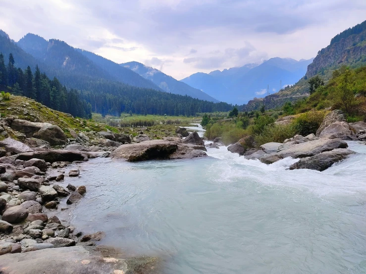 the mountain stream flowing into the green valley