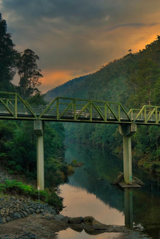 the bridge is built above the river that runs through the jungle