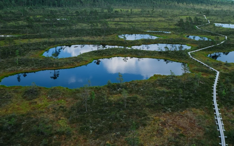 a large field with lots of water in it