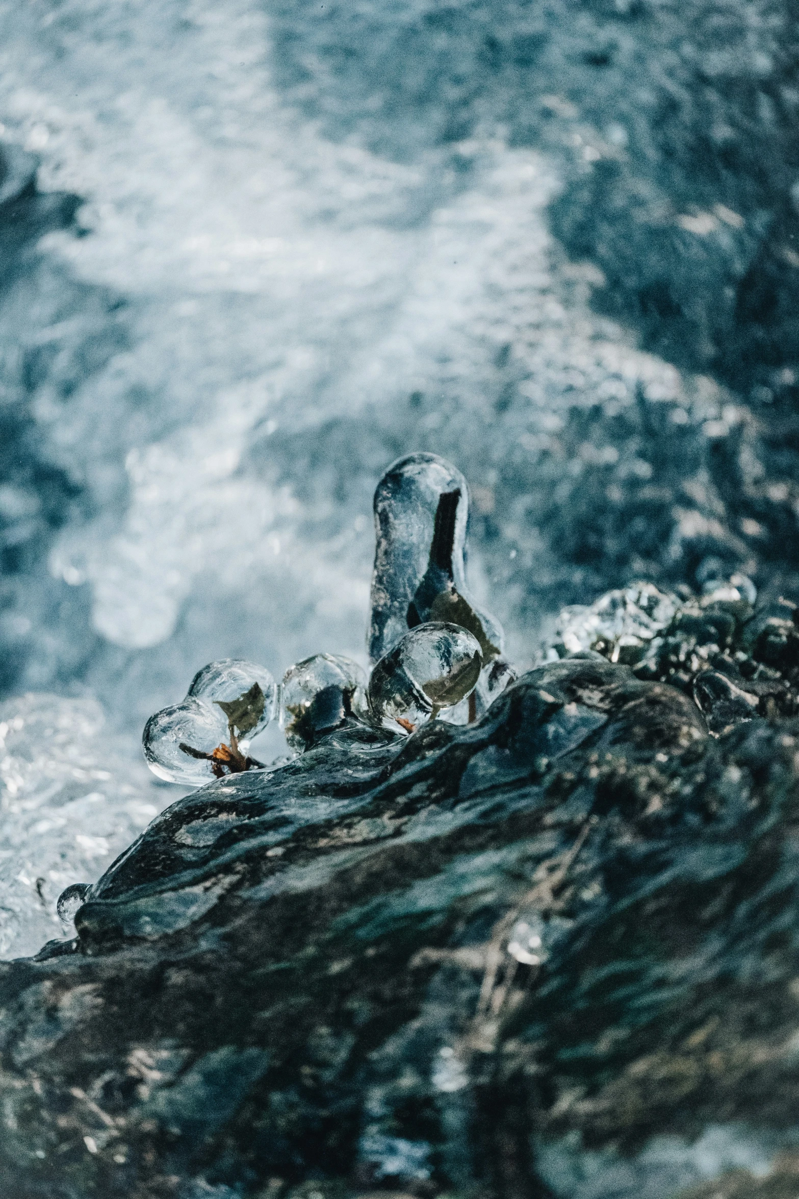 an empty bottle is laying on top of water