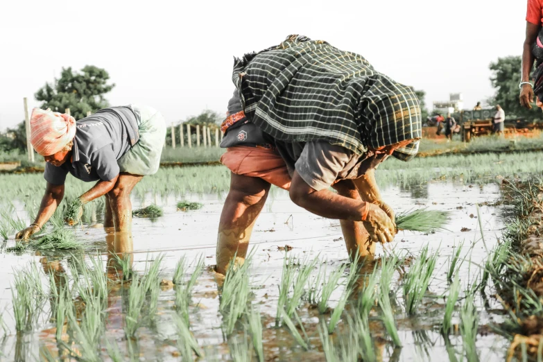 two people stand in a muddy field in sweaters and shorts