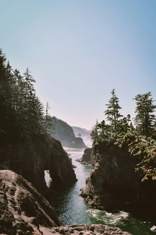 a river flowing through a valley surrounded by trees